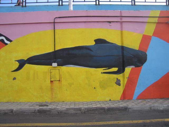 image Grafiti en Puerto de los Cristianos, Tenerife