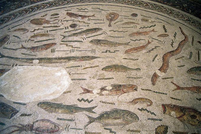 image Mosaico con peces, Museo del Bardo, Túnez