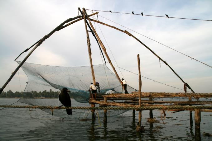 image Hombres recogiendo una red china en Cochin, Kerala, India
