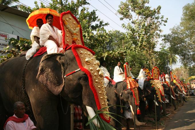 image Elefantes listos para desfilar en Kollam, Kerala, India