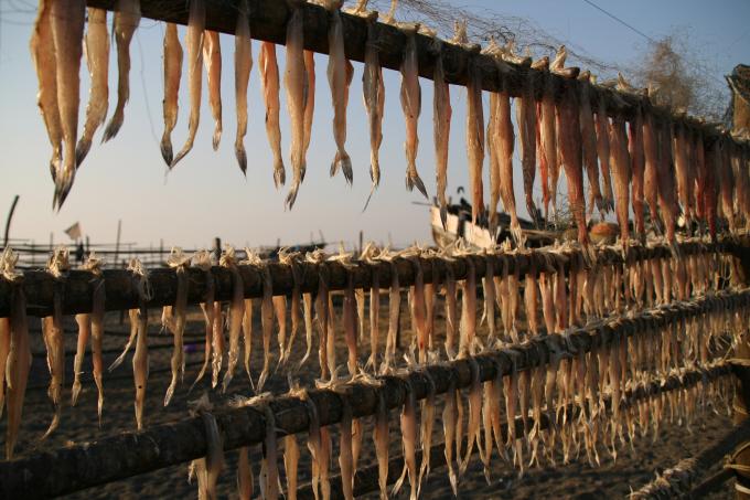 image Pescado secándose al sol, Daman, India