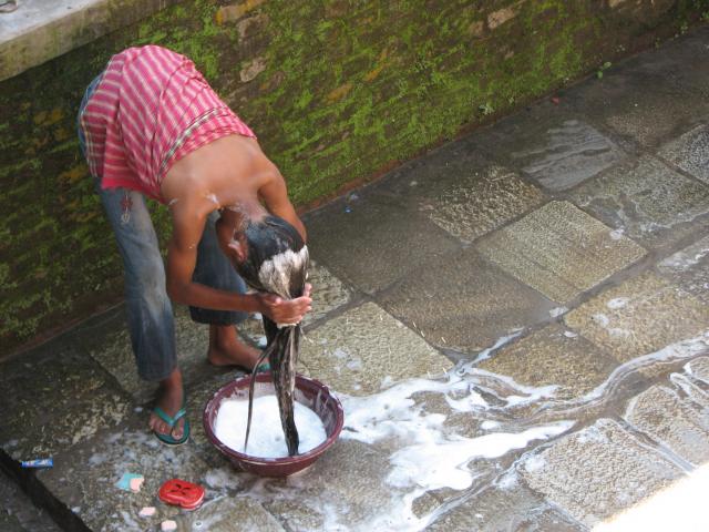 image Mujer lavándose el pelo en Katmandú, Nepal