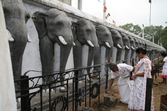 image Estatuas de elefantes circundando la Pagoda de Ruvanvelisaya, Anuradhapura, Sri Lanka