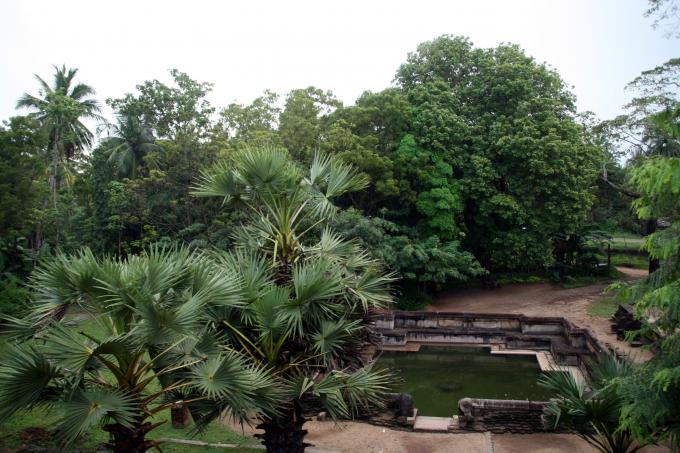image Estanque real, Polonnaruwa, Sri Lanka