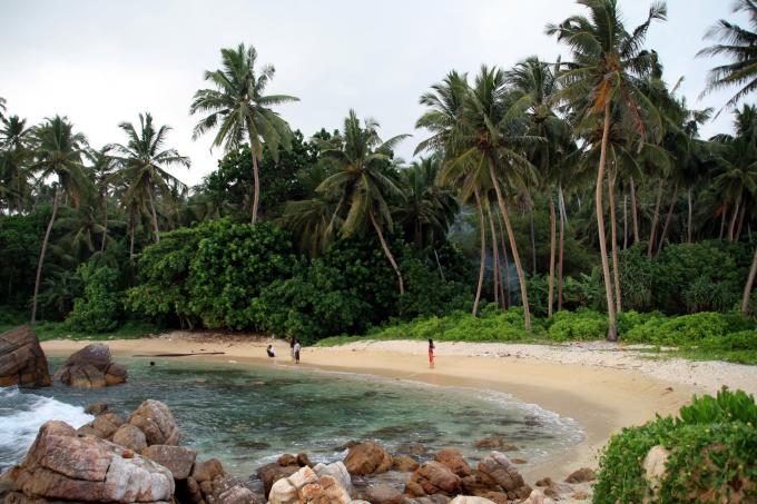 image Cala de coral al sur de Mirissa, Sri Lanka