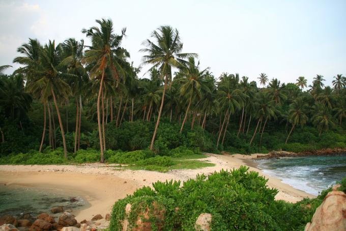 image Unión de dos calas al sur de Mirissa, Sri Lanka
