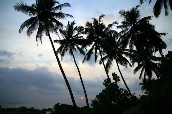 image Puesta de sol en Mirissa, Sri Lanka