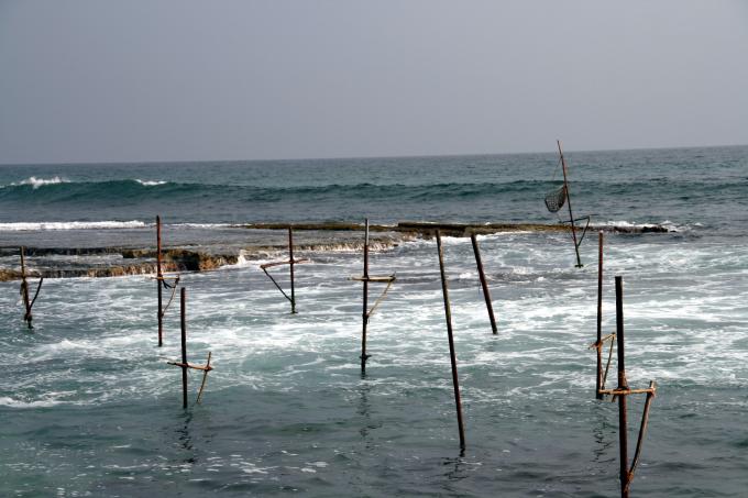 image Palos para pescar en Koggala, Sri Lanka