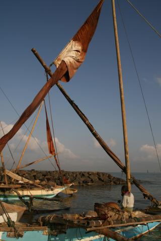 image Catamaranes en la orilla, Negombo, Sri Lanka