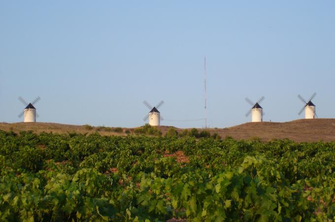 image Molinos de viento con viñedos en Alcazar de San Juan, Ciudad Real