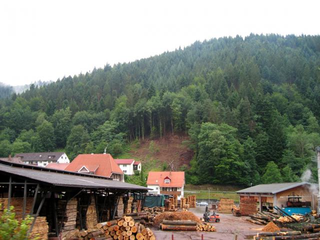 image Empresa maderera en la Selva Negra, Alemania