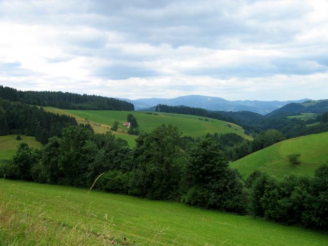 image Paisaje camino del lago Titisse, Alemania
