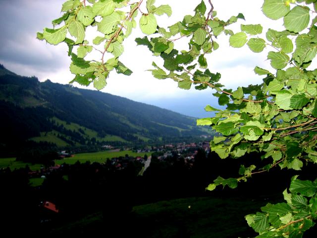 image Atardecer en la Selva Negra, Alemania