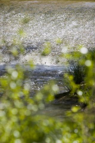 image Duero a su paso por Quintanilla de Onésimo, Valladolid