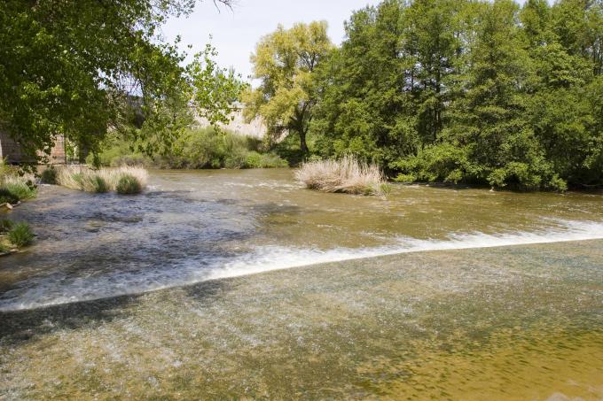 image Duero a su paso por Quintanilla de Onésimo, Valladolid