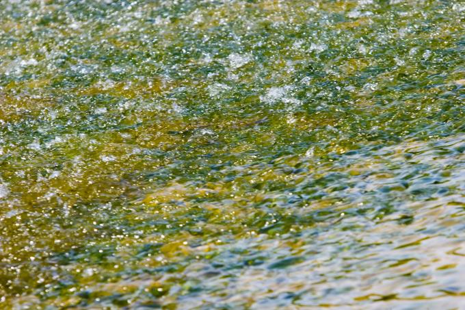 image Aguas del Duero, Quintanilla de Onésimo, Valladolid