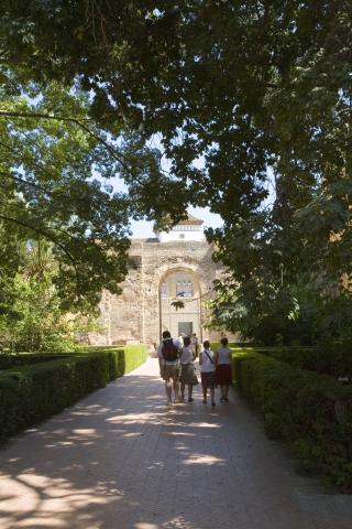 image Jardines del Real Alcázar de Sevilla