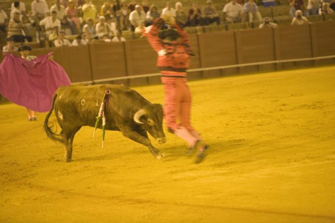 image Corrida de toros, Sevilla
