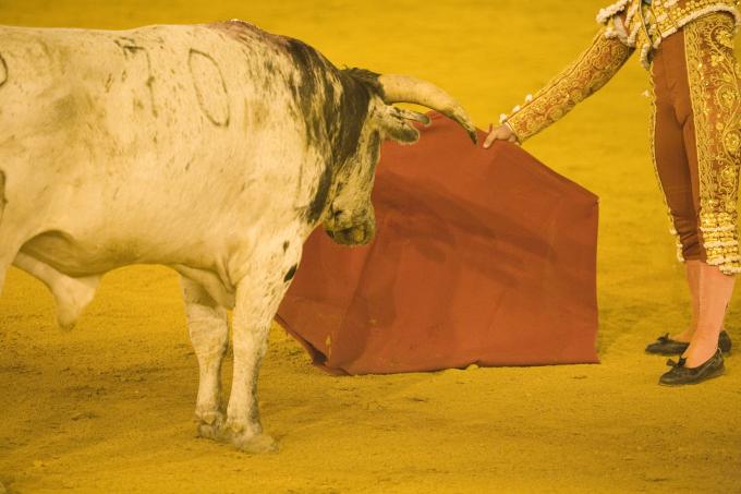 image Corrida de toros, Sevilla