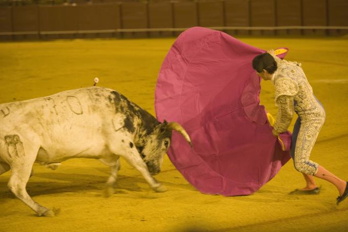 image Corrida de toros, Sevilla