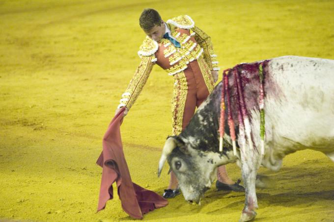 image Corrida de toros, Sevilla