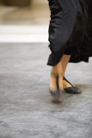 image Bailaora de flamenco, Sevilla