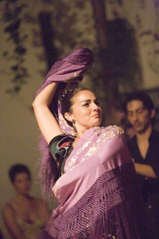 image Baile en un tablao flamenco, Sevilla