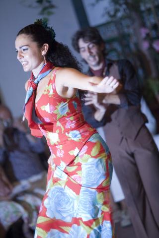 image Baile en un tablao flamenco, Sevilla