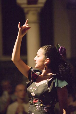 image Baile en un tablao flamenco, Sevilla