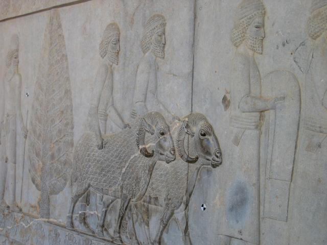 image Relieve en las escaleras hacia la Apadana, Persépolis, Irán