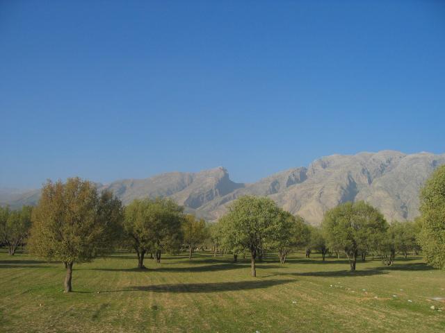 image Dehesa en la provincia de Fars, Irán