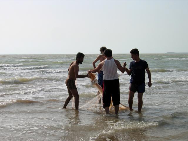 image Pesca local con redes en la provincia de Bushehr, Golfo Pérsico, Irán