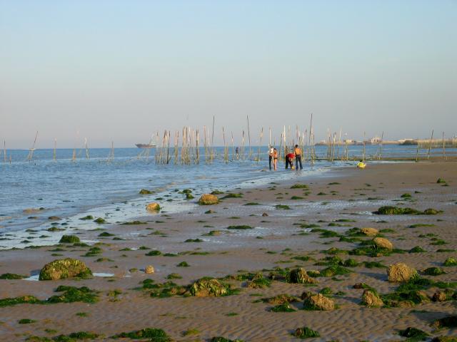 image Playa en la isla de Qeshm, Golfo Pérsico, Irán