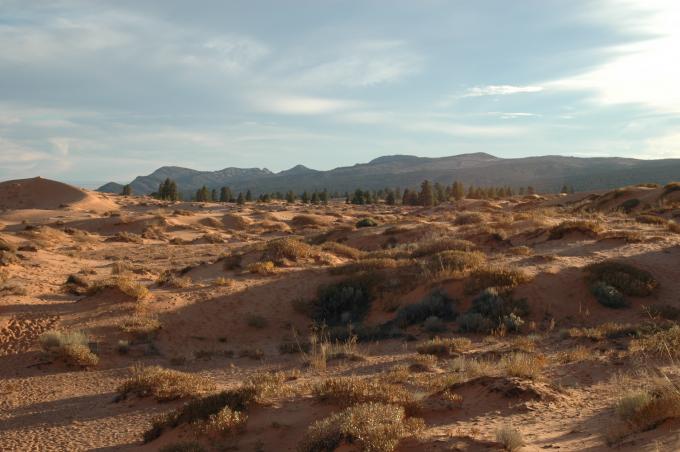 image Parque Estatal Coral Pink Dunes, Utah, Estados Unidos