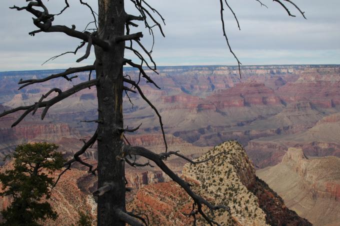 image Vista del Gran Cañón, Arizona, Estados Unidos