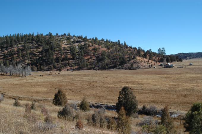 image Parque Nacional de Zion, Utah, Estados Unidos