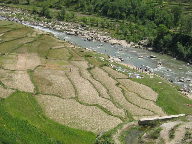 image Campos de cultivo en terraza, cerca de Abottabad, Pakistán