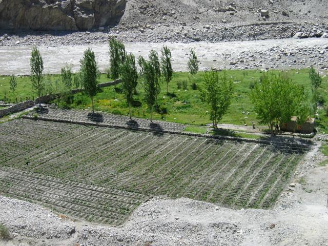 image Campos de cultivo junto al río Hunza, Pakistán