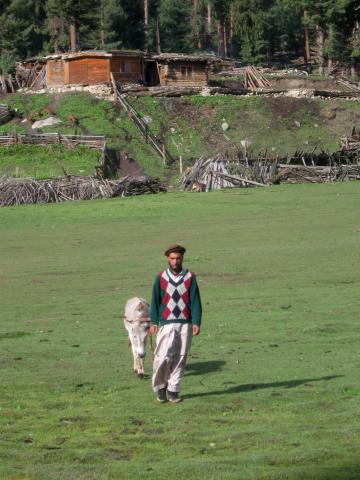 image Ganadero en un asentamiento de verano en Fairy Meadow, Nanga Parbat, Pakistán