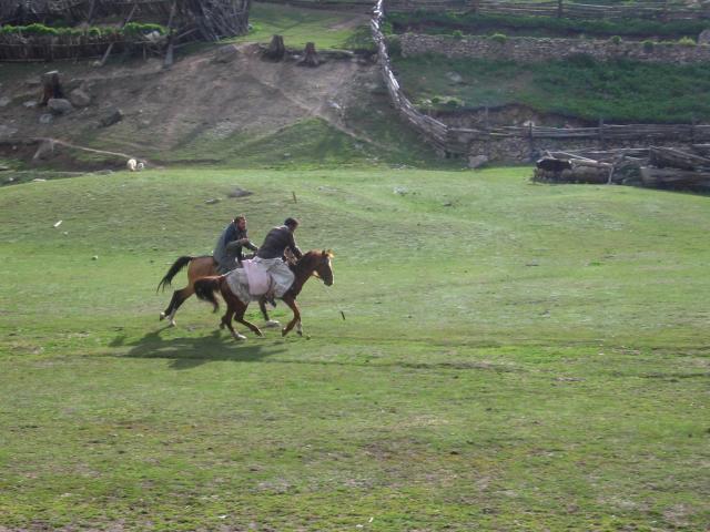 image Jugando al polo en Fairy Meadow, Nanga Parbat, Pakistán