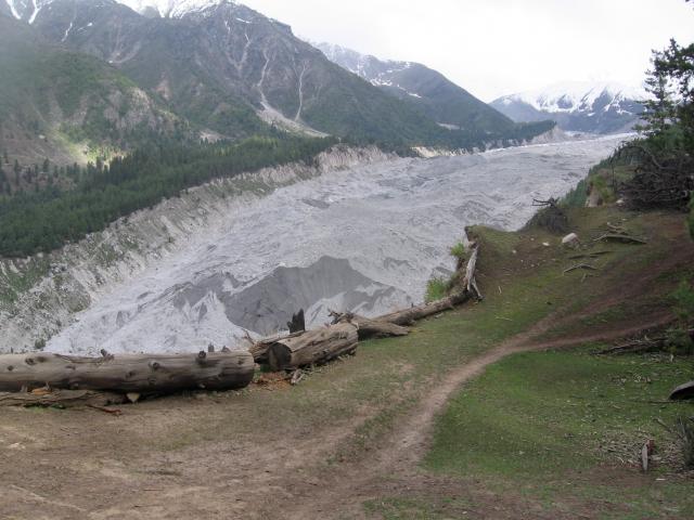 image Lengua del glaciar Diamir desde Fairy Meadow, Pakistán