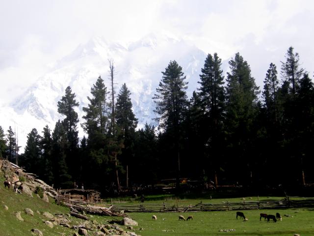 image Nubes cubriendo el Nanga Parbat, Pakistán
