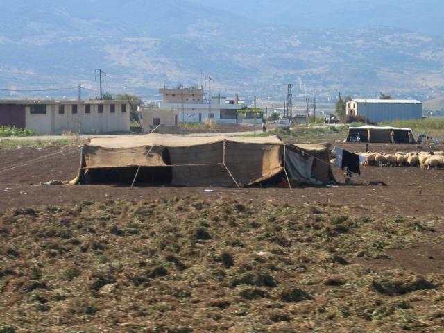 image Campamento de beduinos, Siria