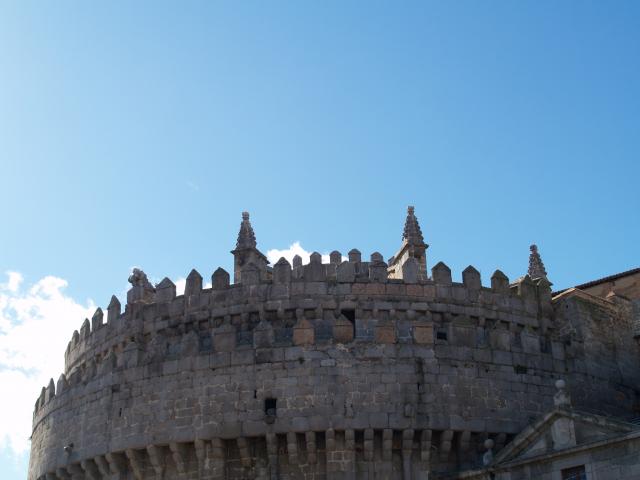 image Cimorro de la Catedral de Ávila