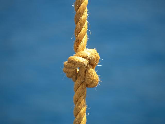 image Maroma con nudo