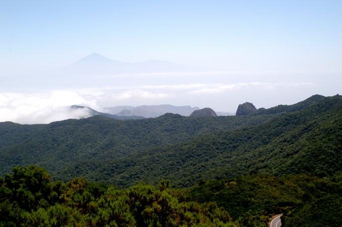 image Parque Nacional del Garajonay, La Gomera
