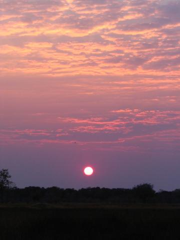image Atardecer en el Parque Nacional de Moremi, Botswana