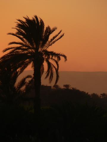 image Atardecer en el Nilo, Egipto