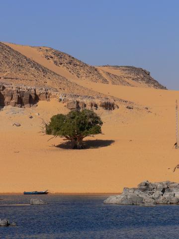 image Dunas a orillas del Nilo, Egipto