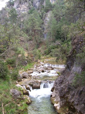 image Río Borosa en la Sierra de Cazorla, Jaén